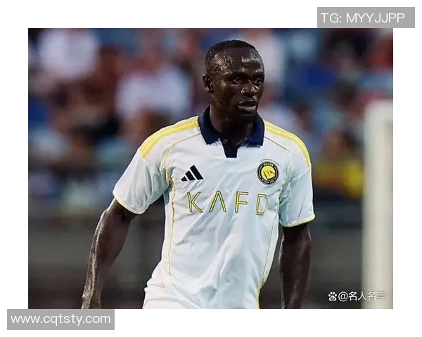 历年足球明星收入排行榜揭秘谁是足坛真正的财富之王